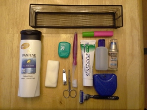 basket, conditioner, soap, floss/toothbrush/toothpaste, nail clippers, grooming scissors, mascara, bottle of oil, foundation retainer, razor. Not pictured: lip balm